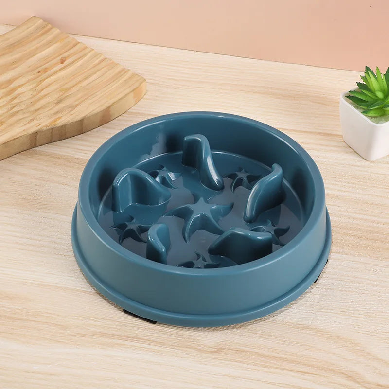 Anti-Slip Slow Feeder Bowl