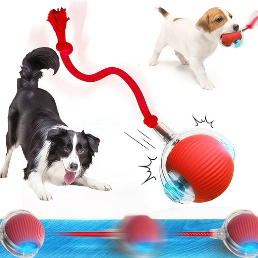 Smart Rolling Pet Ball