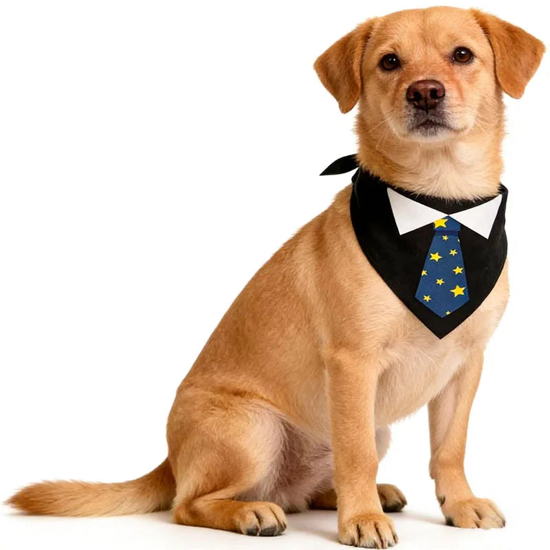 Tuxedo Bandana with Bow Tie